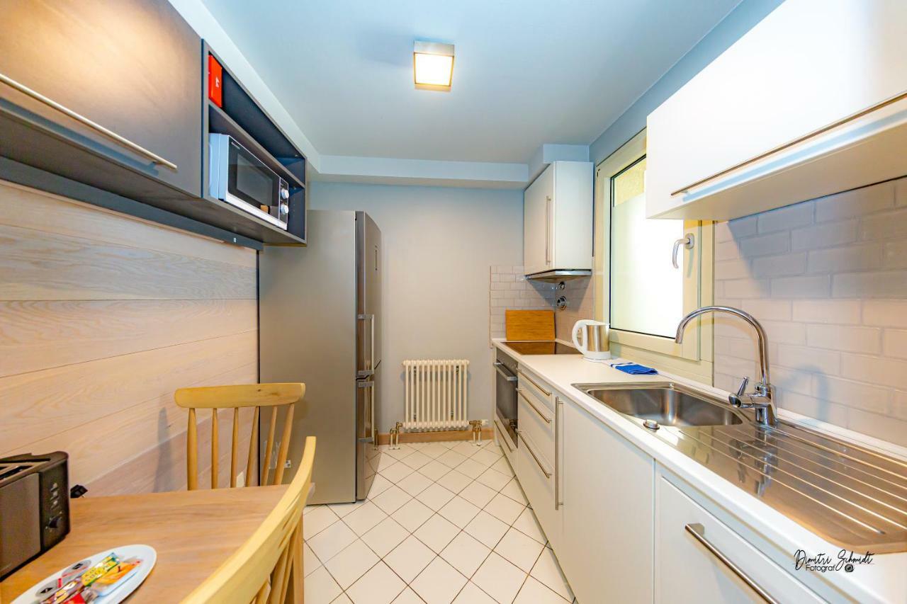 Bs Neckar Apartment Heidelberg Zewnętrze zdjęcie