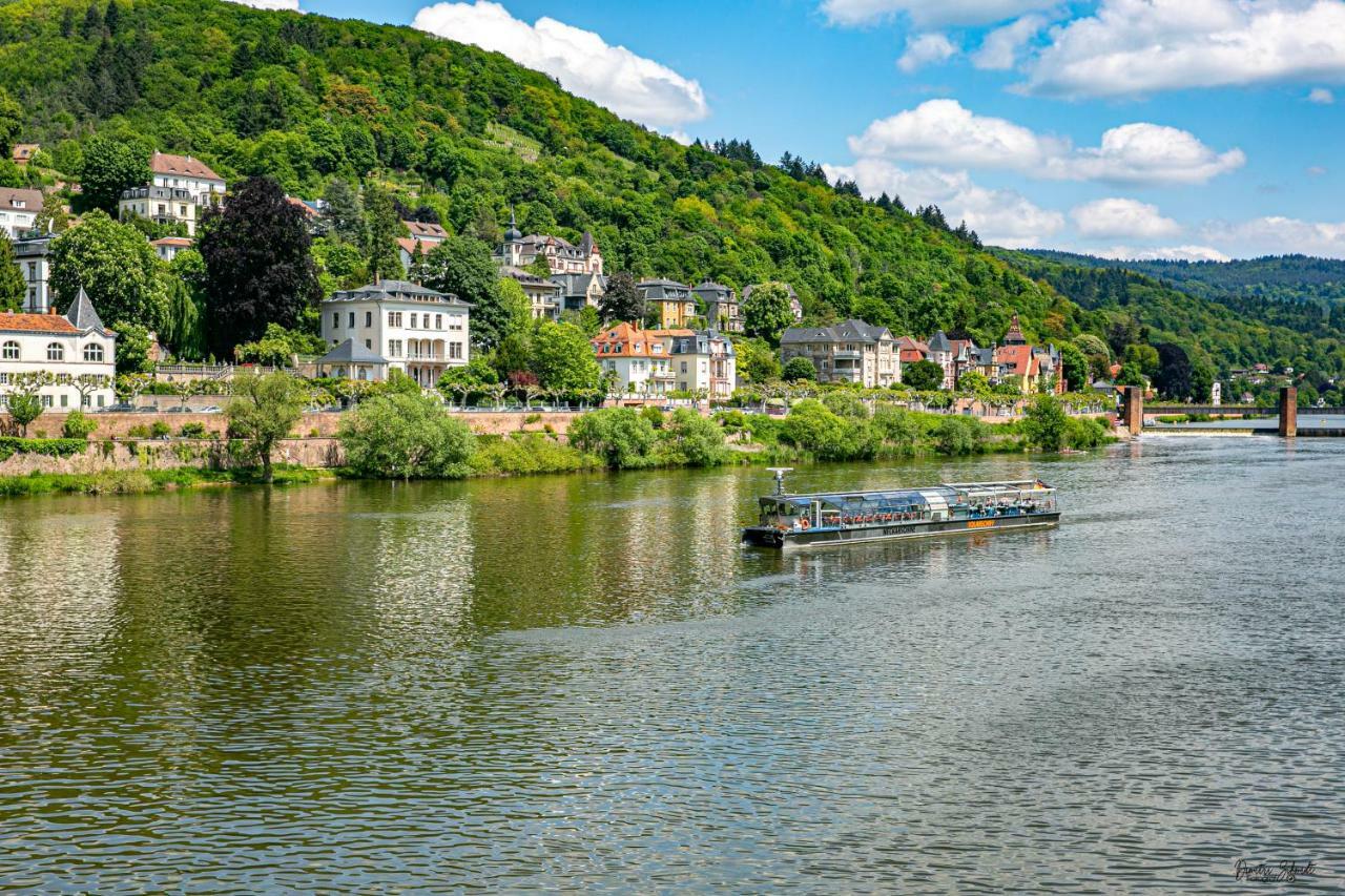 Bs Neckar Apartment Heidelberg Zewnętrze zdjęcie